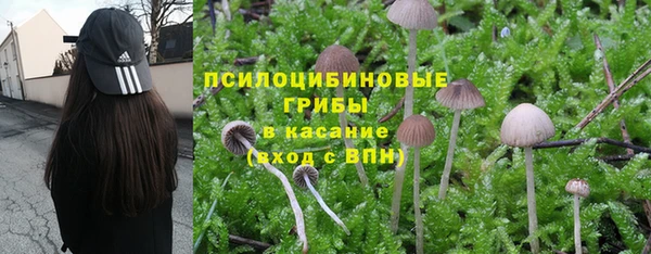 каннабис Надым