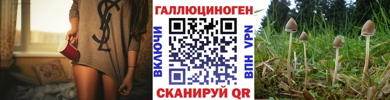 кракен   Плёс  Псилоцибиновые грибы мухоморы  закладка 